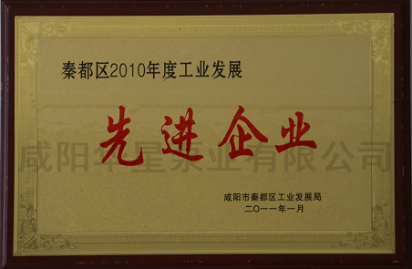 秦都區2010年度工業(yè)發展先進企業